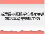 威远县挖掘机学校哪家靠谱(威远靠谱挖掘机学校)