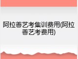 阿拉善艺考集训费用(阿拉善艺考费用)