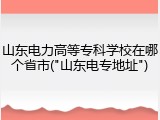山东电力高等专科学校在哪个省市("山东电专地址")