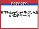 北海技业学校学动漫的专业(北海动漫专业)