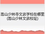 嵩山少林寺文武学校在哪里(嵩山少林文武校址)