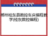 郴州桂东县数控车床编程教学(桂东数控编程)