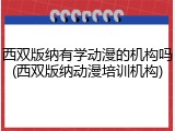 西双版纳有学动漫的机构吗(西双版纳动漫培训机构)