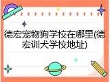 德宏宠物狗学校在哪里(德宏训犬学校地址)