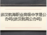 武汉航海职业高级中学是公办吗(武汉航高公办吗)
