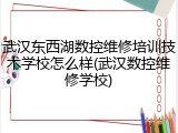 武汉东西湖数控维修培训技术学校怎么样(武汉数控维修学校)