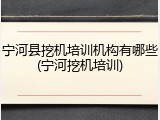 宁河县挖机培训机构有哪些(宁河挖机培训)