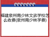 福建泉州南少林文武学校怎么收费(泉州南少林学费)