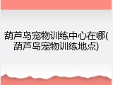 葫芦岛宠物训练中心在哪(葫芦岛宠物训练地点)