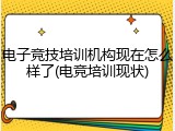 电子竞技培训机构现在怎么样了(电竞培训现状)