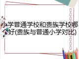 小学普通学校和贵族学校哪个好(贵族与普通小学对比)