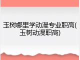 玉树哪里学动漫专业职高(玉树动漫职高)