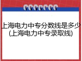 上海电力中专分数线是多少(上海电力中专录取线)