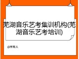 芜湖音乐艺考集训机构(芜湖音乐艺考培训)