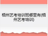 梧州艺考培训班哪里有(梧州艺考培训)