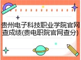 贵州电子科技职业学院官网查成绩(贵电职院官网查分)