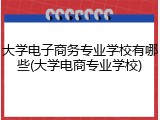 大学电子商务专业学校有哪些(大学电商专业学校)
