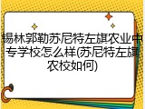 锡林郭勒苏尼特左旗农业中专学校怎么样(苏尼特左旗农校如何)