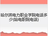 哈尔滨电力职业学院电话多少(哈电职院电话)