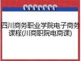 四川商务职业学院电子商务课程(川商职院电商课)