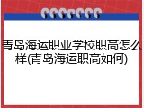 青岛海运职业学校职高怎么样(青岛海运职高如何)