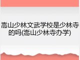 嵩山少林文武学校是少林寺的吗(嵩山少林寺办学)