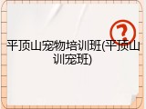 平顶山宠物培训班(平顶山训宠班)