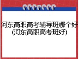河东高职高考辅导班哪个好(河东高职高考班好)