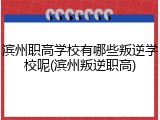 滨州职高学校有哪些叛逆学校呢(滨州叛逆职高)