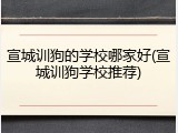 宣城训狗的学校哪家好(宣城训狗学校推荐)