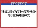 珠海训狗的学校哪家好(珠海训狗学校推荐)