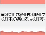 黄冈英山县农业技术职业学校好不好(英山农技校好吗)