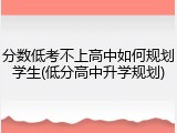 分数低考不上高中如何规划学生(低分高中升学规划)