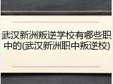 武汉新洲叛逆学校有哪些职中的(武汉新洲职中叛逆校)