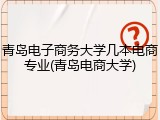 青岛电子商务大学几本电商专业(青岛电商大学)