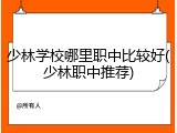 少林学校哪里职中比较好(少林职中推荐)