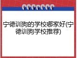 宁德训狗的学校哪家好(宁德训狗学校推荐)