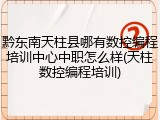 黔东南天柱县哪有数控编程培训中心中职怎么样(天柱数控编程培训)