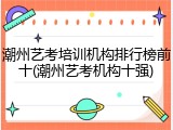 潮州艺考培训机构排行榜前十(潮州艺考机构十强)