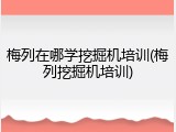 梅列在哪学挖掘机培训(梅列挖掘机培训)