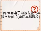 山东省有电子商务专业的本科学校(山东电商本科院校)