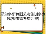 鄂尔多斯舞蹈艺考集训多少钱(鄂市舞考培训费)