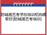 防城港艺考学校培训机构哪家好(防城港艺考培训)
