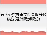 云南经贸外事学院录取分数线(云经外院录取分)