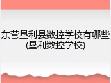 东营垦利县数控学校有哪些(垦利数控学校)