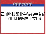 四川科技职业学院有中专部吗(川科职院有中专吗)