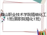 眉山职业技术学院精细化工1班(眉职院精化1班)