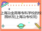 上海冶金高等专科学校的校园状况(上海冶专校况)
