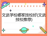 文武学校哪家技校好(文武技校推荐)