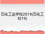 石化工业学校2019(石化工校19)